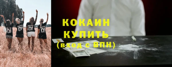 гашик Каменногорск