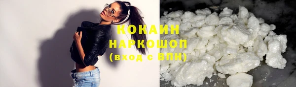 ГАЛЛЮЦИНОГЕННЫЕ ГРИБЫ Инта