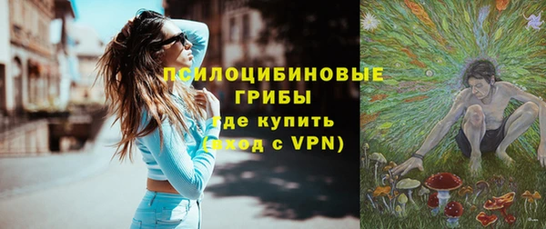 гашик Каменногорск