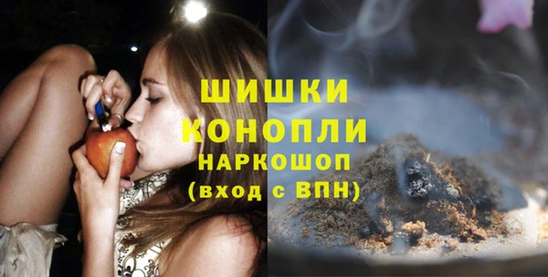 гашик Каменногорск