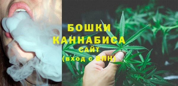 ГАЛЛЮЦИНОГЕННЫЕ ГРИБЫ Иннополис
