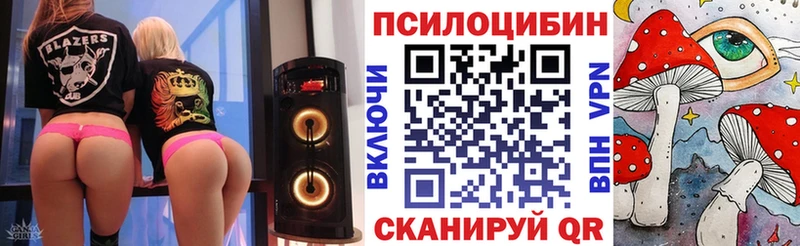 блэк спрут рабочий сайт Курлово Псилоцибиновые грибы Psilocybine cubensis купить цена