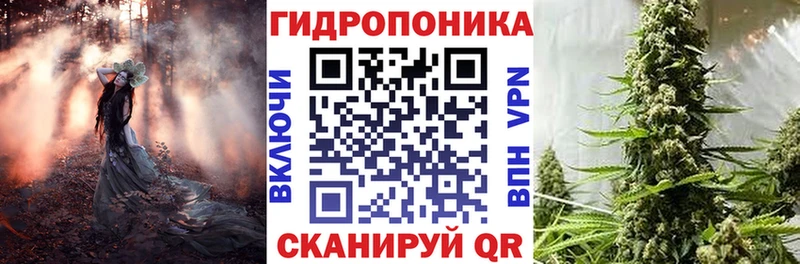 МАРИХУАНА гибрид  блэк спрут   Курлово 